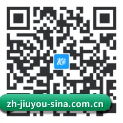 苹果版 iOS 二维码