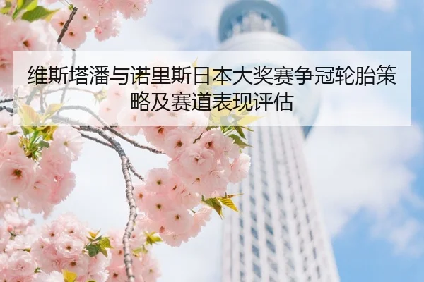 维斯塔潘与诺里斯日本大奖赛争冠轮胎策略及赛道表现评估